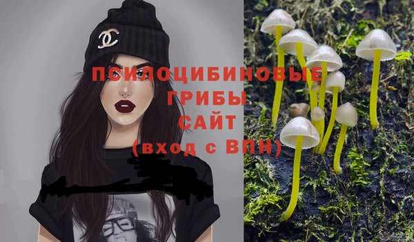 круглые Бородино