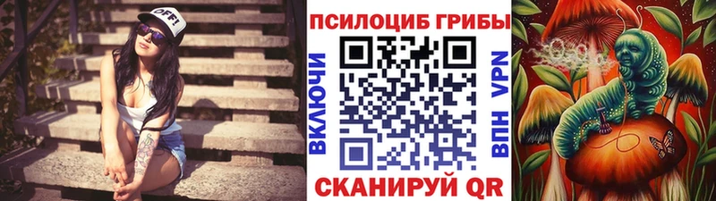 Галлюциногенные грибы GOLDEN TEACHER  Отрадная 